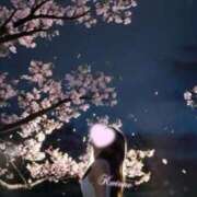 ヒメ日記 2026/04/15 02:49 投稿 水沢　琴音 SM東京　新宿店