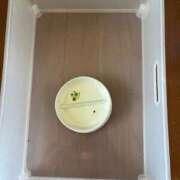 ヒメ日記 2025/01/09 11:43 投稿 内里 なお ギン妻パラダイス 谷九店