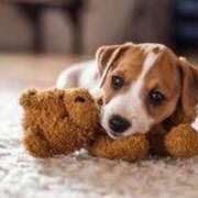 ヒメ日記 2025/01/12 13:10 投稿 内里 なお ギン妻パラダイス 谷九店