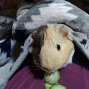 ヒメ日記 2025/03/08 12:05 投稿 内里 なお ギン妻パラダイス 谷九店