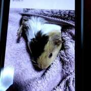 ヒメ日記 2025/03/29 12:24 投稿 内里 なお ギン妻パラダイス 谷九店