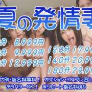 ヒメ日記 2025/08/01 10:34 投稿 内里 なお ギン妻パラダイス 谷九店