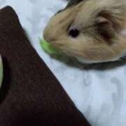 ヒメ日記 2025/08/24 09:21 投稿 内里 なお ギン妻パラダイス 谷九店