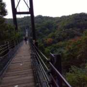 ヒメ日記 2025/11/03 13:59 投稿 内里 なお ギン妻パラダイス 谷九店