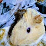 ヒメ日記 2026/01/23 20:54 投稿 内里 なお ギン妻パラダイス 谷九店