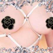 えみり おはようございます☀️ ギン妻パラダイス 和歌山店