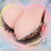 ヒメ日記 2026/03/12 14:26 投稿 えみり ギン妻パラダイス 和歌山店