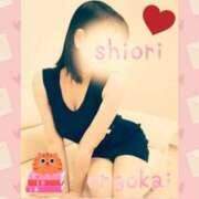 ヒメ日記 2025/02/21 11:34 投稿 しおり 静岡人妻援護会