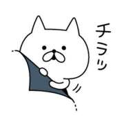 ヒメ日記 2025/02/26 16:38 投稿 しおり 静岡人妻援護会