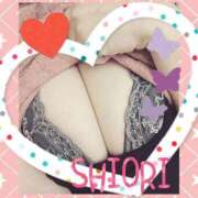 ヒメ日記 2025/06/14 15:51 投稿 しおり 静岡人妻援護会