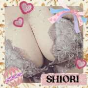 ヒメ日記 2025/11/02 10:48 投稿 しおり 静岡人妻援護会