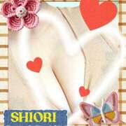 ヒメ日記 2025/11/04 14:48 投稿 しおり 静岡人妻援護会