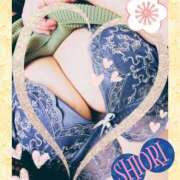 ヒメ日記 2025/11/23 22:19 投稿 しおり 静岡人妻援護会