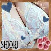 ヒメ日記 2025/11/30 12:03 投稿 しおり 静岡人妻援護会