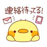 ヒメ日記 2025/12/29 21:48 投稿 しおり 静岡人妻援護会