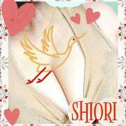 ヒメ日記 2026/01/06 15:33 投稿 しおり 静岡人妻援護会