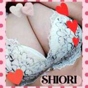 ヒメ日記 2026/02/06 12:33 投稿 しおり 静岡人妻援護会