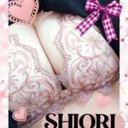 ヒメ日記 2026/03/06 13:19 投稿 しおり 静岡人妻援護会