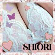 ヒメ日記 2026/03/10 22:27 投稿 しおり 静岡人妻援護会