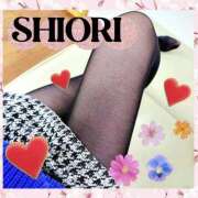 ヒメ日記 2026/03/11 19:03 投稿 しおり 静岡人妻援護会