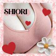 ヒメ日記 2026/03/25 17:33 投稿 しおり 静岡人妻援護会