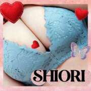 ヒメ日記 2026/03/28 17:57 投稿 しおり 静岡人妻援護会