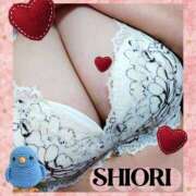 ヒメ日記 2026/04/05 09:03 投稿 しおり 静岡人妻援護会