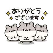 ヒメ日記 2026/04/06 12:48 投稿 しおり 静岡人妻援護会