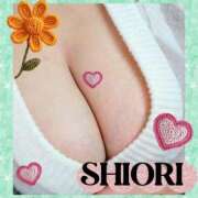 ヒメ日記 2026/04/09 12:27 投稿 しおり 静岡人妻援護会