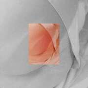 ヒメ日記 2025/05/02 07:42 投稿 ななみ エマニエル