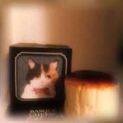 ヒメ日記 2025/05/09 12:42 投稿 ななみ エマニエル