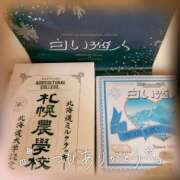 ヒメ日記 2026/03/26 20:52 投稿 ななみ エマニエル