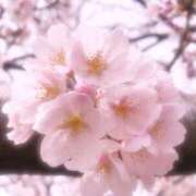 ヒメ日記 2026/03/31 21:42 投稿 ななみ エマニエル