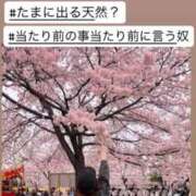 ヒメ日記 2026/04/07 17:50 投稿 あゆ 白いぽっちゃりさん仙台店