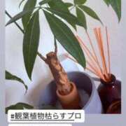 ヒメ日記 2026/04/18 15:58 投稿 あゆ 白いぽっちゃりさん仙台店