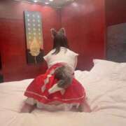 ヒメ日記 2026/01/03 22:53 投稿 ましろ 秋葉原コスプレ学園in仙台