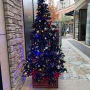 ヒメ日記 2024/12/25 22:22 投稿 さなえ ギン妻パラダイス 堺東店