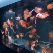 ヒメ日記 2025/04/05 22:01 投稿 さなえ ギン妻パラダイス 堺東店