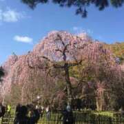 ヒメ日記 2026/04/03 17:12 投稿 さなえ ギン妻パラダイス 堺東店