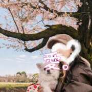 ヒメ日記 2026/04/12 18:05 投稿 愛(あい) 男爵