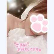 ヒメ日記 2025/03/22 16:35 投稿 西野　あかね 癒し娘診療所 水戸・ひたちなか店