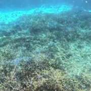 ヒメ日記 2025/08/06 19:34 投稿 KAERA GINGIRA☆TOKYO～ギンギラ東京～