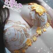 ヒメ日記 2024/12/14 12:21 投稿 しずく 夜這専門発情する奥様たち 谷九店