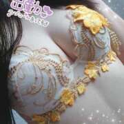 ヒメ日記 2025/06/07 09:41 投稿 しずく 夜這専門発情する奥様たち 谷九店