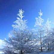 ヒメ日記 2024/12/28 22:00 投稿 まなみ 即アポ奥さん ～津・松阪店～