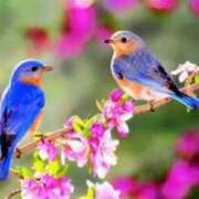 ヒメ日記 2025/03/11 22:57 投稿 まなみ 即アポ奥さん ～津・松阪店～