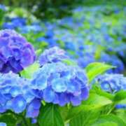 ヒメ日記 2025/06/06 22:41 投稿 まなみ 即アポ奥さん ～津・松阪店～