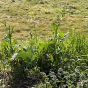 ヒメ日記 2026/04/18 15:22 投稿 ちなつ キスMy