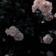 ヒメ日記 2026/04/19 00:20 投稿 はる 神戸デリヘル クリスタル