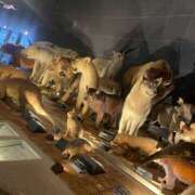 ヒメ日記 2025/10/12 19:25 投稿 愛美 町田 デリヘル 極妻 極上妻